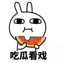吃瓜群众每天一个瓜