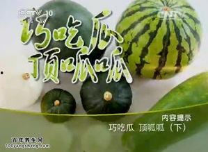 中国吃瓜之路视频,揭秘网络热点背后的故事与真相