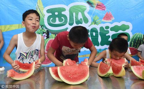 吃瓜园游会,一场味蕾与欢乐的盛宴