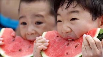 吃瓜党的日常,娱乐圈幕后风云大揭秘