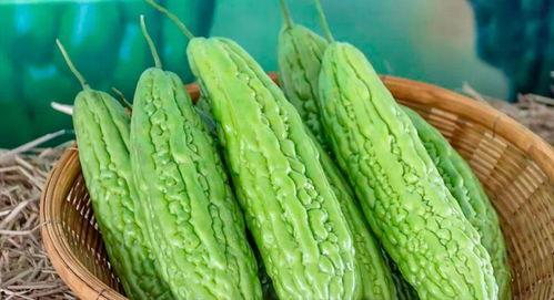 当水果吃的苦瓜叫啥瓜,揭秘当水果吃的苦瓜之美