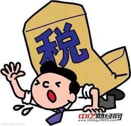 群众持续打卡吃瓜,群众打卡吃瓜的狂欢盛宴