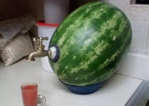 搞笑瓜哥带你吃瓜,搞笑瓜哥带你笑翻吃瓜现场