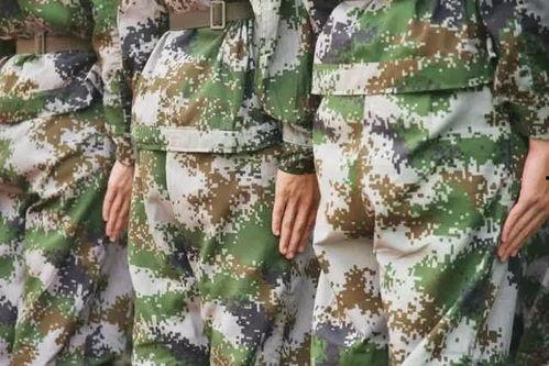 黑网料吃瓜军训,吃瓜军训背后的真实故事