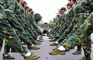 黑网料吃瓜军训,吃瓜军训背后的真实故事