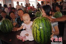 辽宁吃瓜新闻事件,揭秘网络谣言背后的真相与反思