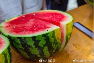 校内吃瓜,揭秘校内吃瓜背后的故事