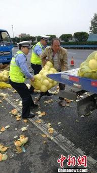 荥经吃瓜群众,揭秘当地独特生活风情