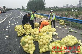 荥经吃瓜群众,揭秘当地独特生活风情