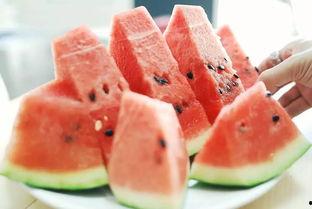 吃瓜小区事件,揭秘邻里纷争背后的真相