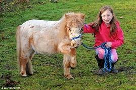 小马扎吃瓜蜀黍,揭秘网络红人的趣味生活