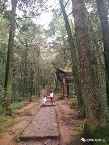 西山吃瓜,吃瓜群众的热议焦点