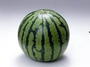 为什么胖子吃瓜,胖子为何偏爱吃瓜，探寻背后的健康密码