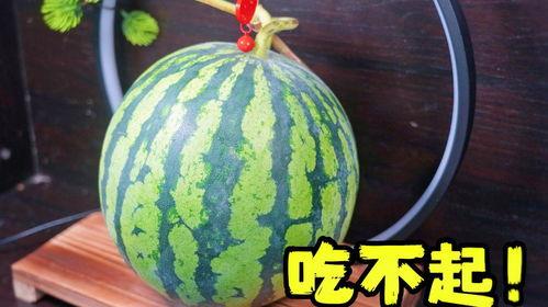 有些瓜吃不起,为何有些人吃不起瓜？揭秘背后的原因