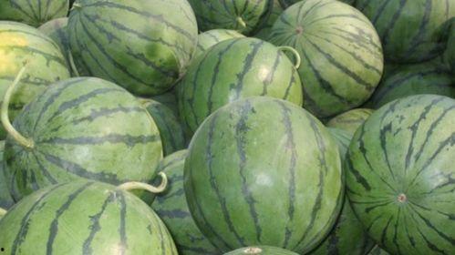 有些瓜吃不起,为何有些人吃不起瓜？揭秘背后的原因