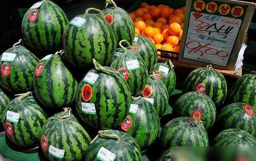 微山卖保险吃瓜,瓜田里的保险故事