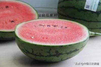 庞瓜怎么吃,解锁美味新体验