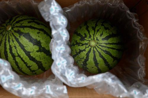 庞瓜怎么吃,解锁美味新体验