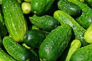 梦令吃瓜,揭秘网络热传的吃瓜趣事