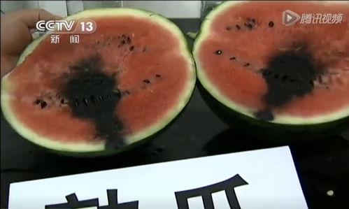 629吃瓜视频,一场网络热议背后的真相