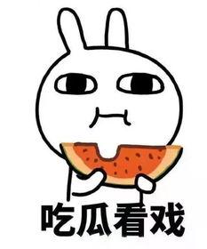 直爽洒脱的吃瓜,畅享吃瓜盛宴