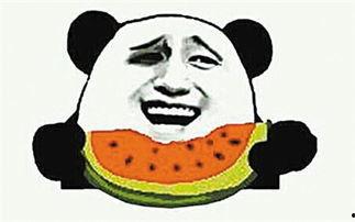 吃瓜群众啥瓜都吃,揭秘“啥瓜都吃”的吃瓜群众世界