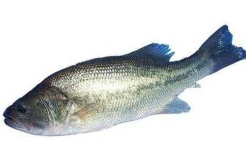 苏州鲈钓胜地吃瓜,夏日吃瓜乐逍遥