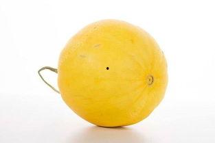 冬天吃蜜瓜的益处,揭秘冬天吃蜜瓜的神奇益处