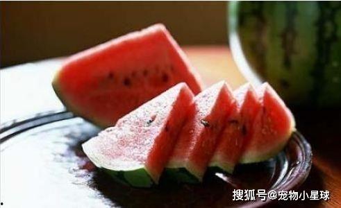 瓜田小刀吃瓜,揭秘吃瓜群众的趣味生活