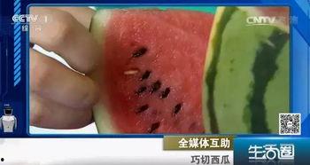 瓜圈吃瓜官方,揭秘娱乐圈幕后故事