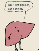 吃二甲双瓜能喝酒么,安全界限揭秘