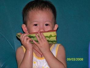 吃瓜青年楠楠,揭秘娱乐圈那些事儿