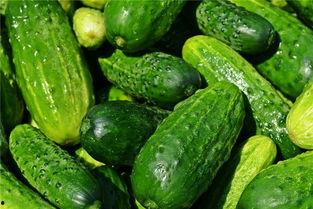 梦见吃的瓜,揭秘瓜梦的神秘寓意