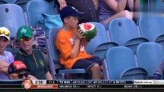 解说员吃瓜,揭秘娱乐圈幕后故事