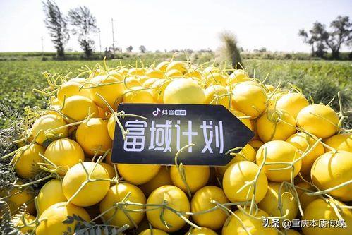 吃瓜国外抖音,抖音上的国际热点追踪