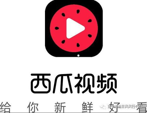 吃瓜国外抖音,抖音上的国际热点追踪