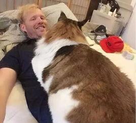 缅因吃瓜,一场吃瓜引发的狂欢