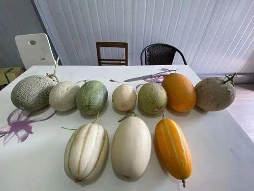 吃瓜后嘴里反酸,揭秘口腔不适背后的秘密