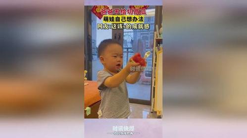 认真的吃瓜萌娃