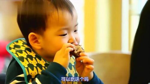 认真的吃瓜萌娃