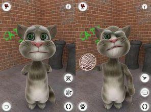 tom猫吃哈密瓜,汤姆猫的哈密瓜盛宴