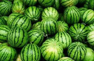 潘甜甜吃瓜群,揭秘娱乐圈幕后故事