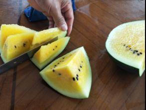 吃瓜网精品黄,独家揭秘精品黄生成背后的秘密