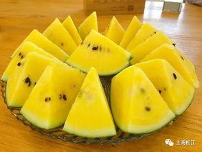 吃瓜网精品黄,独家揭秘精品黄生成背后的秘密