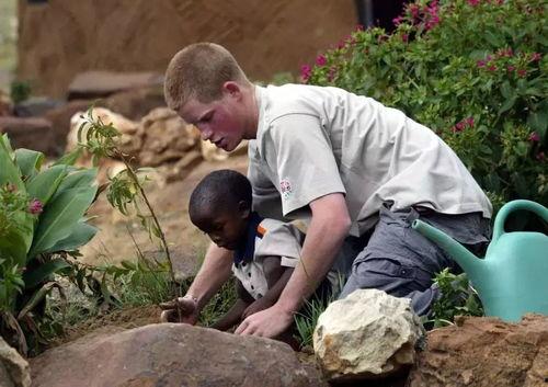 出击吃瓜,揭秘娱乐圈幕后风云