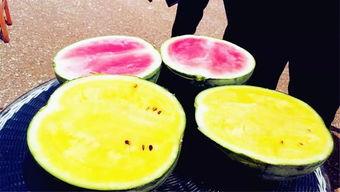 吃瓜爆料怎么拍