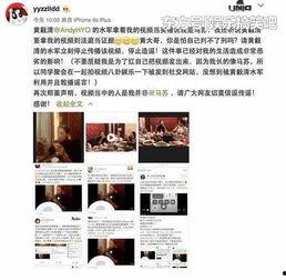 吃瓜中视频计划,带你领略短视频时代的魅力与机遇