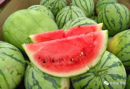 今日吃瓜在哪看,尽在指尖，揭秘热门事件直播平台