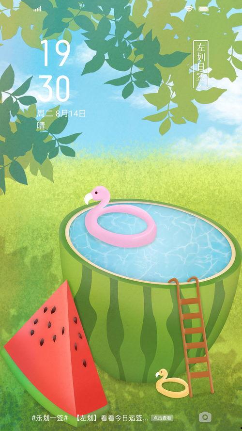 夏日快乐吃瓜比赛,快乐吃瓜比赛欢乐多