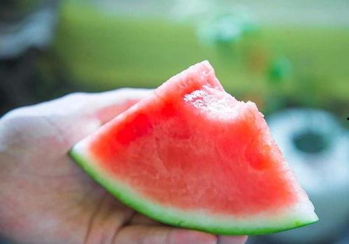 夏日快乐吃瓜比赛,快乐吃瓜比赛欢乐多